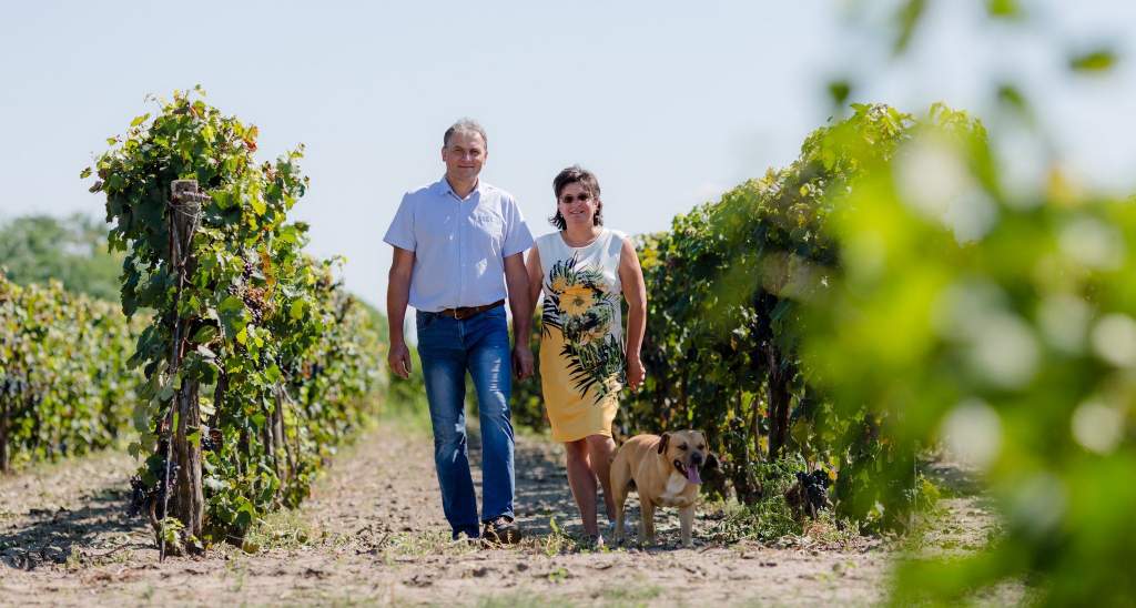 SK Borászat – kiváló úti cél a bortúrázóknak