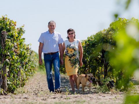 SK Borászat – kiváló úti cél a bortúrázóknak